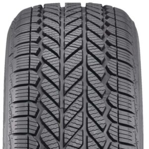 Bridgestone Weatherpeak 205/50R17 93V XL 6032